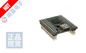 FT4232H MINI MODULE